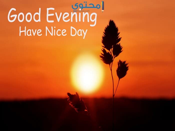 صور وخلفيات مساء الخير 2018