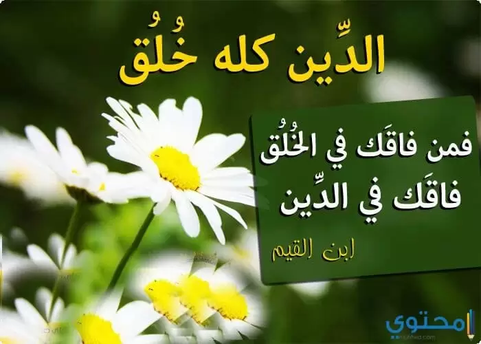 صور معبرة عن الاخلاص والوفاء جديدة خلفيات عن الاخلاص موقع محتوى