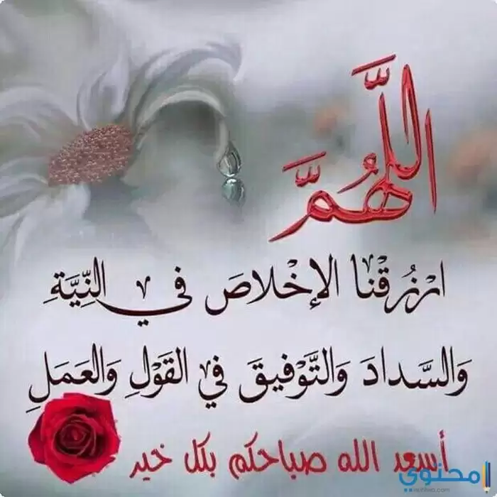 صور معبرة عن الاخلاص والوفاء جديدة خلفيات عن الاخلاص موقع محتوى