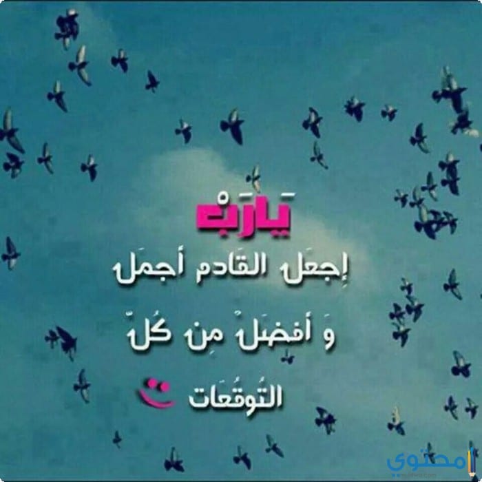 مهرجان أوقيانوسيا اصابات صور مكتب عليه يارب موزه 