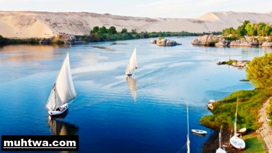 تعبير عن نهر النيل بالعناصر الرئيسية موقع محتوى