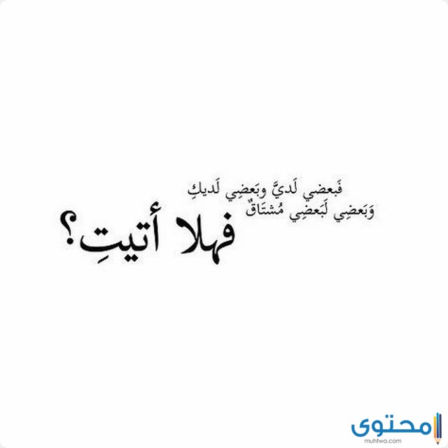أحلى عبارات عيد الحب 2022 للحبيب والزوج موقع محتوى