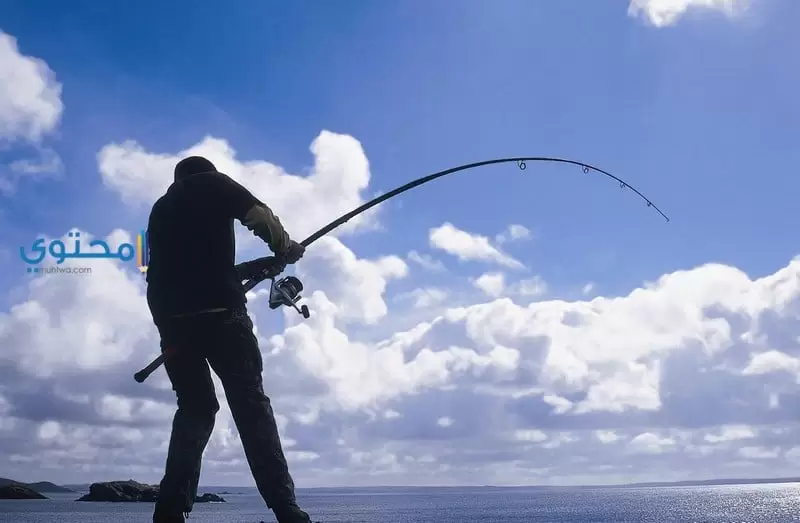 تفسير رؤية صيد السمك فى المنام لابن سيرين موقع محتوى