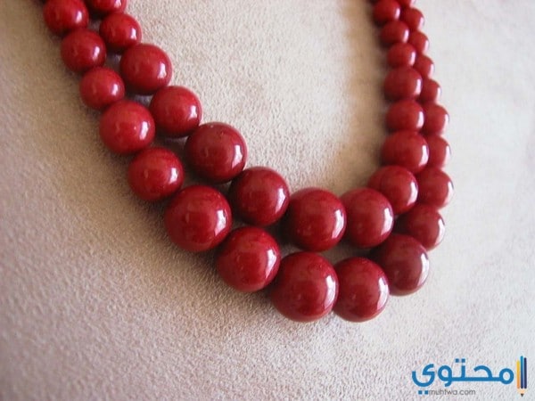 الشيم الأحمر