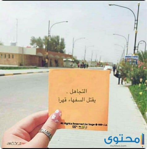 عبارات جميلة وقصيرة 2021 افضل العبارات والكلمات موقع محتوى