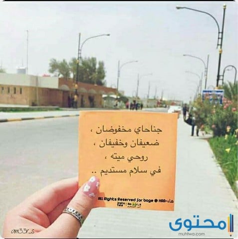 عبارات جميلة وقصيرة 2021 افضل العبارات والكلمات موقع محتوى