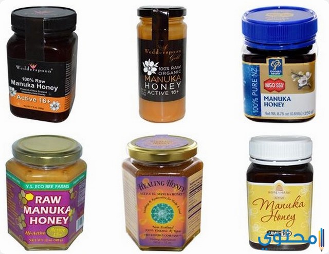 فوائد عسل المانوكا Manuka Honey لتقوية المناعة موقع محتوى