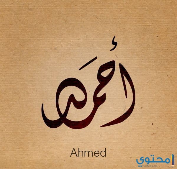 الحروف والأسماء التي تتوافق مع الأبراج النارية