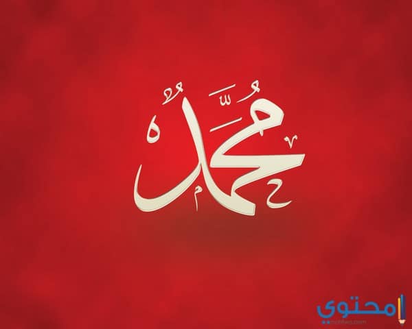 الحروف والأسماء التي تتوافق مع الأبراج الترابية