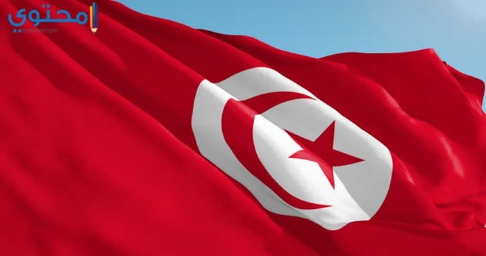صور وخلفيات علم تونس 2021 موقع محتوى
