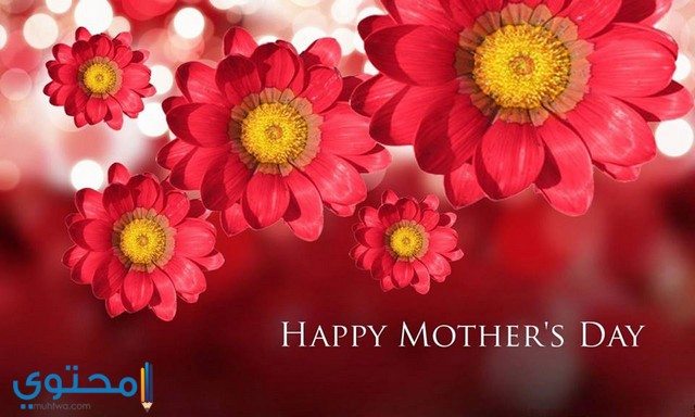 أحلى الصور بمناسبة عيد الأم