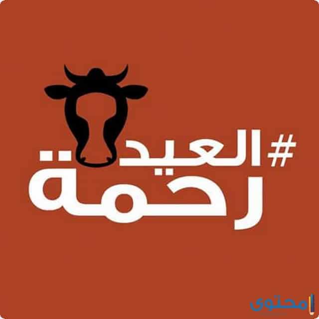 صور عيد الاضحي 2019