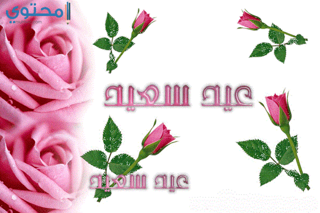 خلفيات عن عيد الفطر المبارك