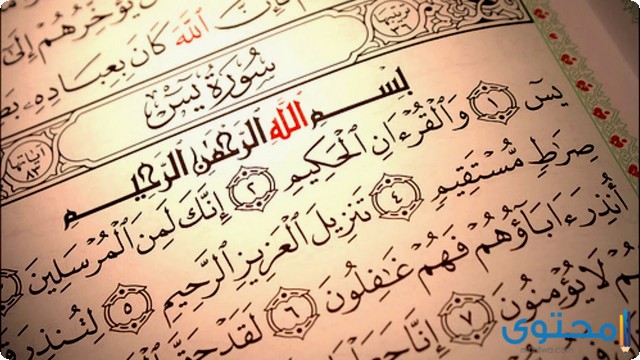 فضل دعاء سورة ياسين لقضاء الحاجة، موقع محتوى