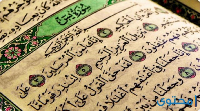 فضل دعاء سورة ياسين لقضاء الحاجة، موقع محتوى