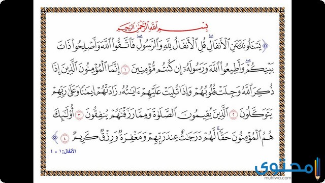ما هو فضل قراءة سورة الأنفال؟ موقع المحتوى