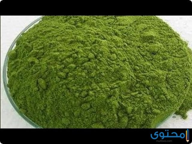 فوائد المورينجا للشعر