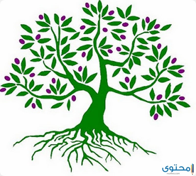 قصص قبل النوم جديدة قصة التفاحة الانانية موقع محتوى
