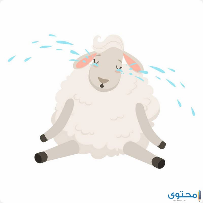 قصص اطفال قصيرة ومفيدة