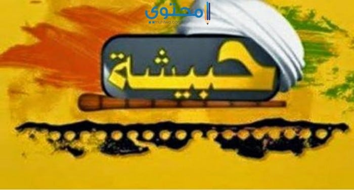 تردد قناة حبيشة أفلام 2018