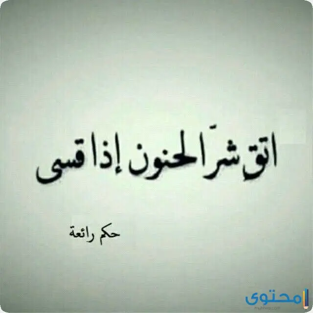 %D9%83%D9%84%D8%A7%D9%85-%D8%A7%D8%AA%D9%82-%D8%B4%D8%B1-%D8%A7%D9%84%D8%AD%D9%84%D9%8A%D9%85-%D8%A5%D8%B0%D8%A7-%D8%BA%D8%B6%D8%A84.jpg.webp