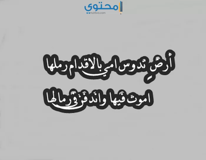 عبارات عن الام مؤثرة 2021 كلمات عن عيد الأم موقع محتوى