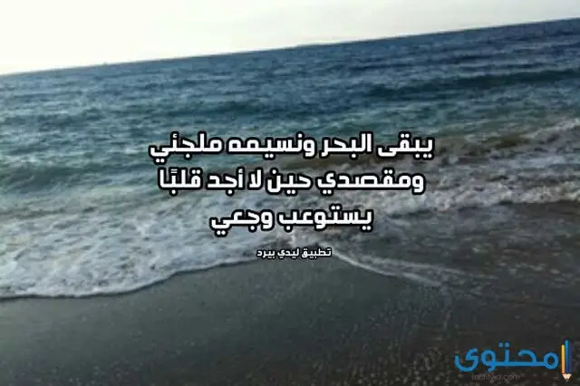 صوت البحر الهادئ