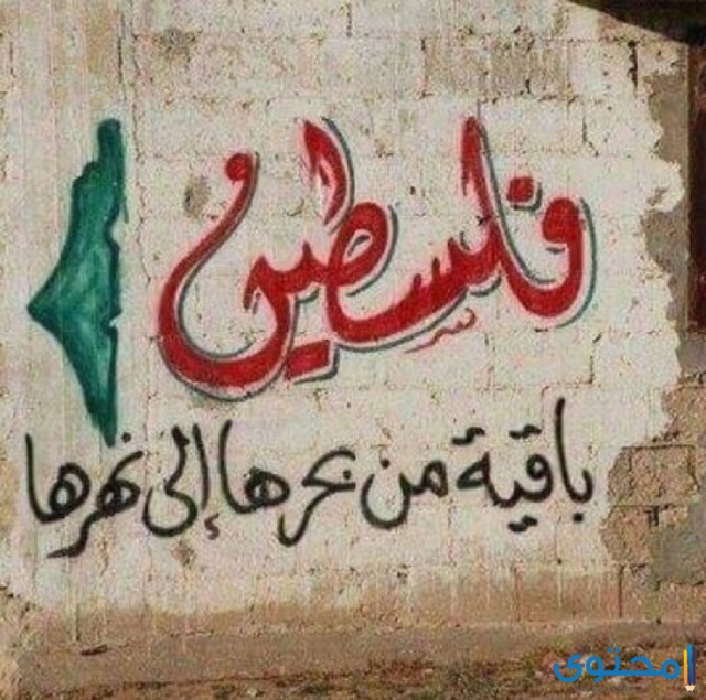 بوستات وكلمات عن فلسطين 2021 كلمات وعبارات عن القدس وفلسطين موقع محتوى