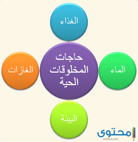 ما الذي تحتاج اليه المخلوقات الحية لكي تعيش موقع محتوى