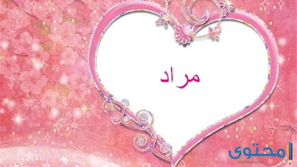 معنى كلمة Feature Youtube