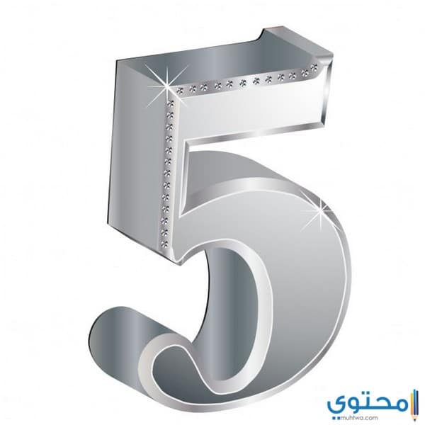 صفات أصحاب مسار الحياة رقم 5 والعمل
