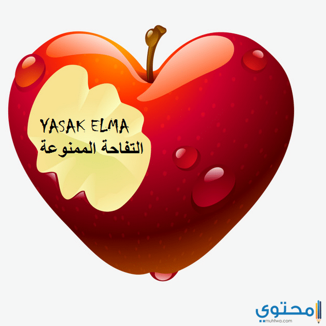 مسلسل التفاحة الممنوعة
