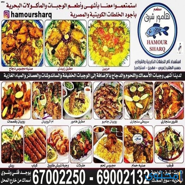 ما هو أفضل مطعم سمك في الكويت موقع محتوى
