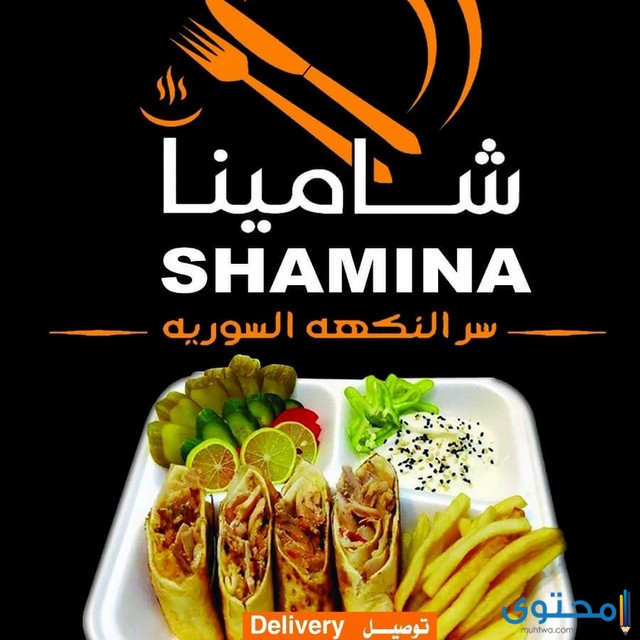 ما هو أفضل مطعم شاورما في الغردقة موقع محتوى