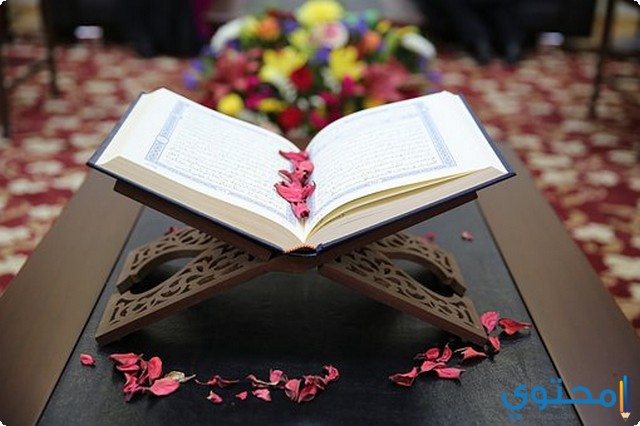 معلومات إسلامية
