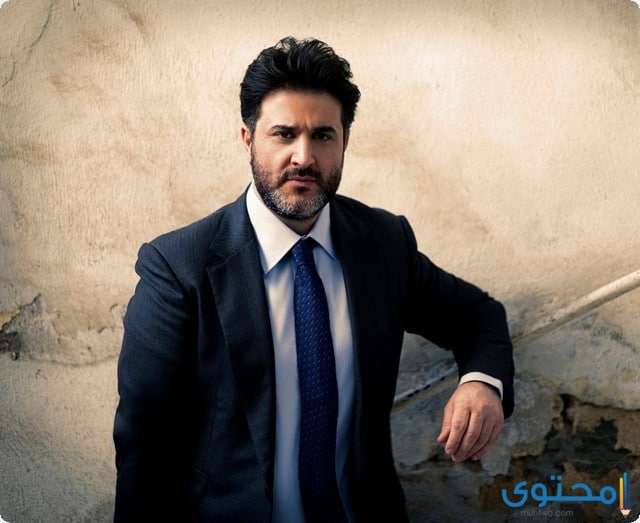 ملحم زين الأغانى