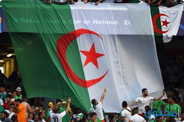 صور منتخب الجزائر 2021 محاربي الصحراء - موقع محتوى