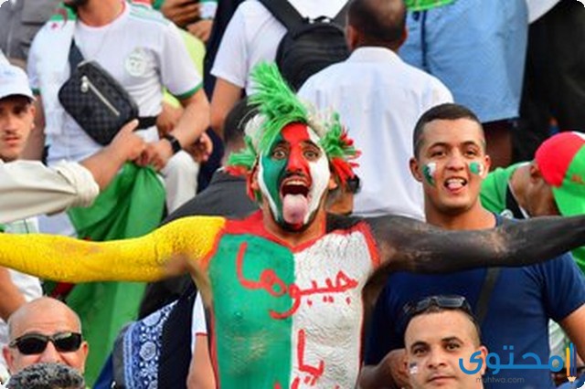 صور منتخب الجزائر 2021 محاربي الصحراء - موقع محتوى