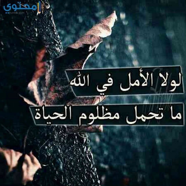 منشورات إسلامية جديدة