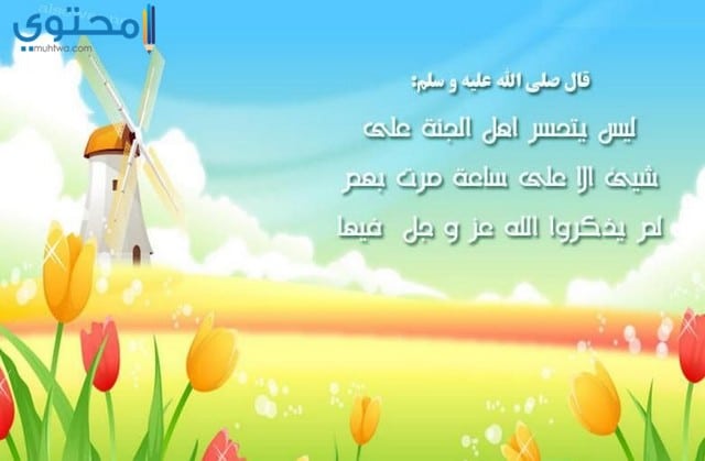 أحدث المنشورات الإسلامية 