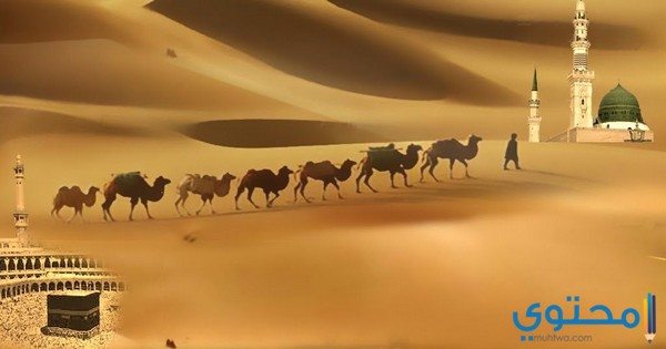 أسباب الهجرة النبوية