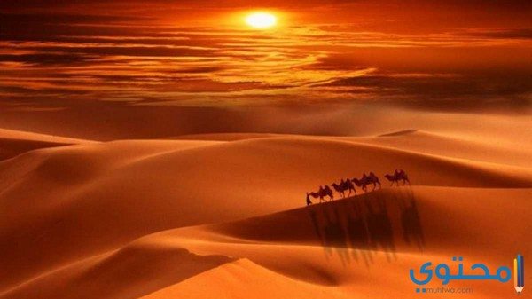 تعريف الهجرة النبوية