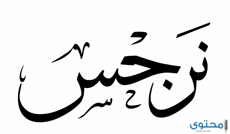 معنى اسم نرجس وصفات من تحمله موقع محتوى