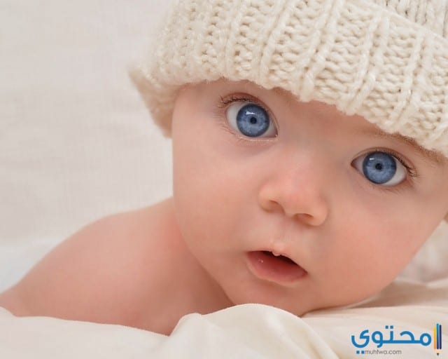 صور بيبي 