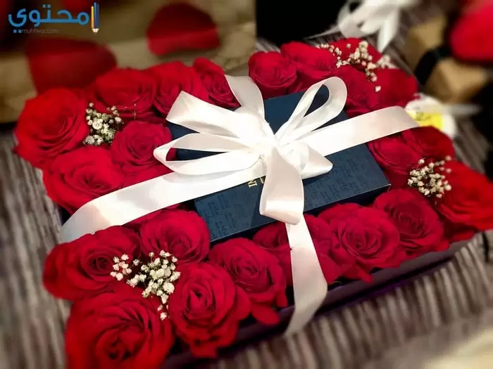 صور هدايا عيد ميلاد جميلة 2021 موقع محتوى