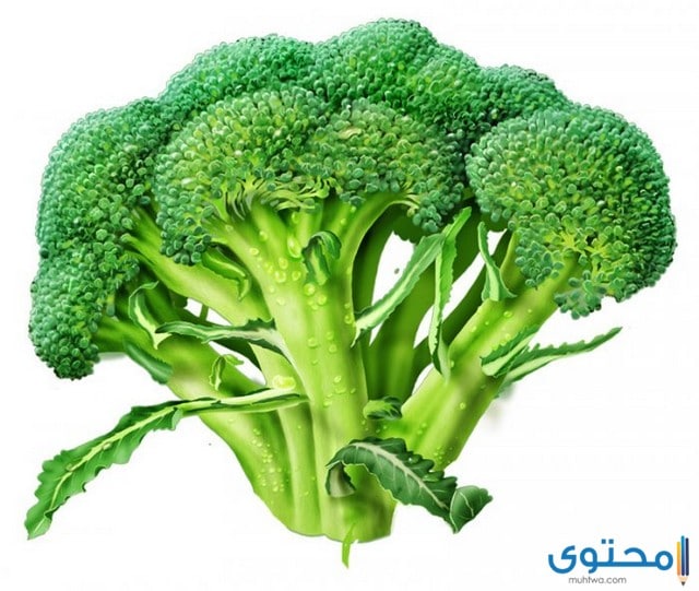 هل تعلم عن البروكلي