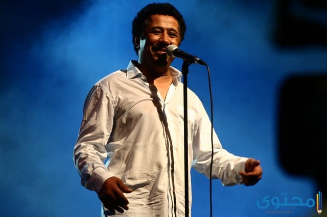 هل تعلم عن الشاب خالد