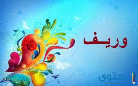 معنى اسم وريف وصفاته موقع محتوى