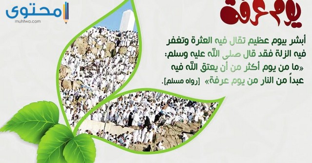 فضل يوم عرفة