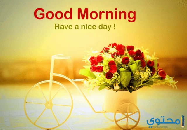 صور صباح الخير للواتس